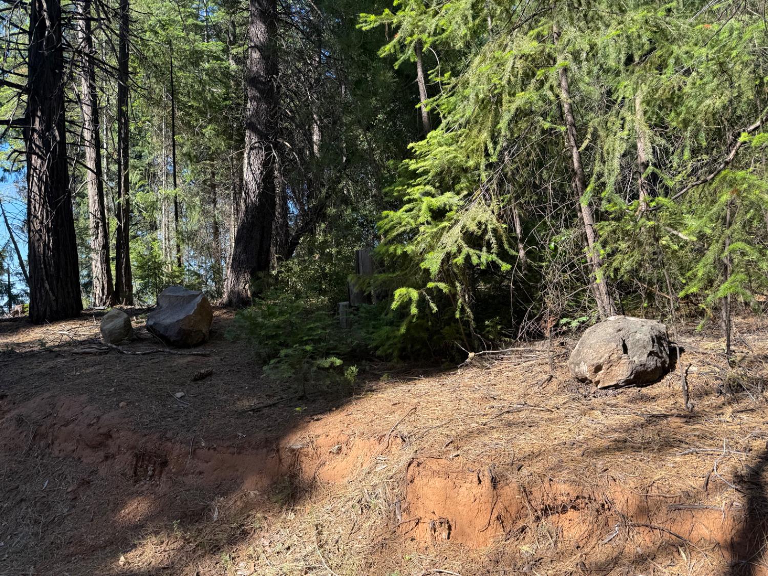 28087 Rolling Hills Road Pioneer, CA 95666 - Photo 21 of 49