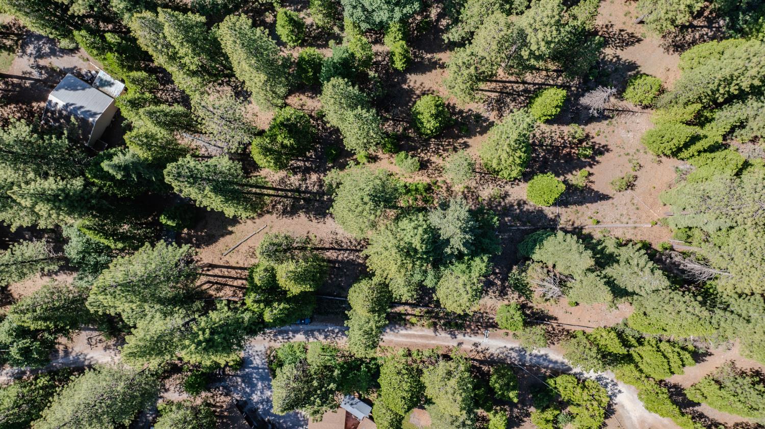 28087 Rolling Hills Road Pioneer, CA 95666 - Photo 22 of 49