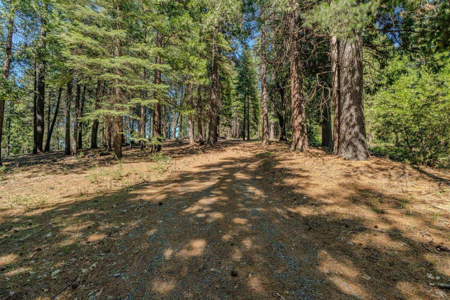 28087 Rolling Hills Road Pioneer, CA 95666 - Photo 23 of 49