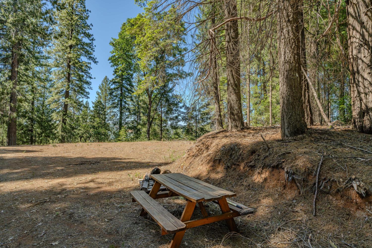 28087 Rolling Hills Road Pioneer, CA 95666 - Photo 24 of 49