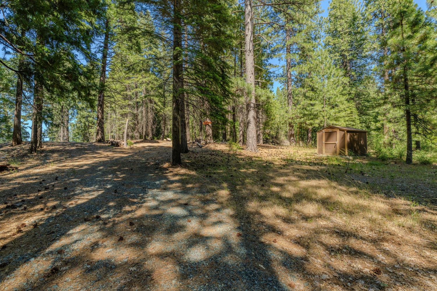 28087 Rolling Hills Road Pioneer, CA 95666 - Photo 25 of 49