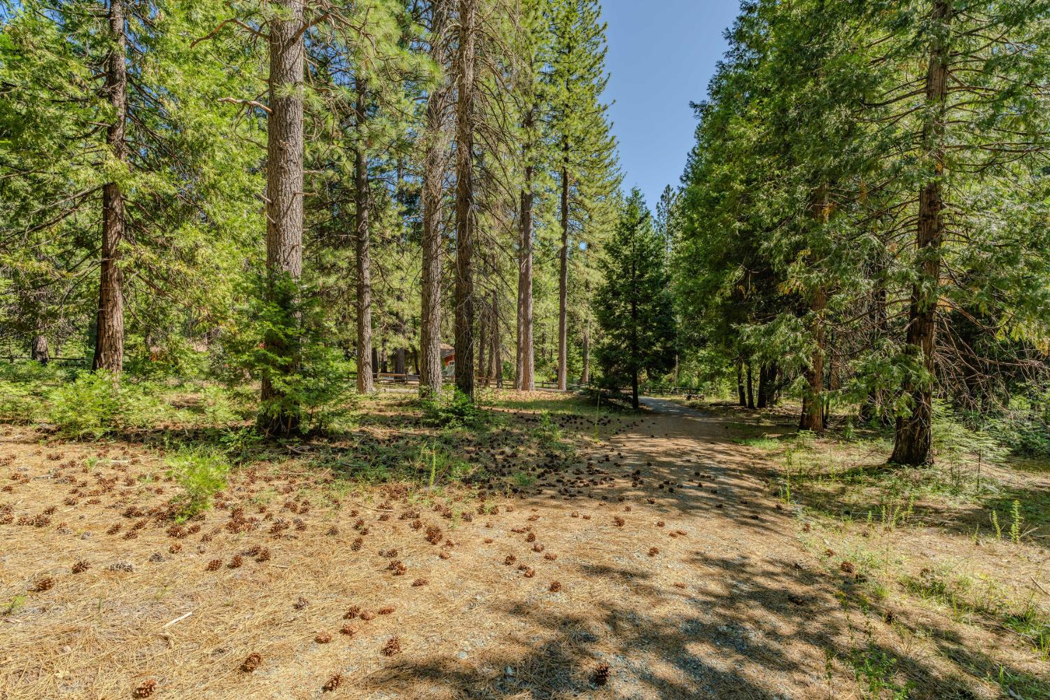 28087 Rolling Hills Road Pioneer, CA 95666 - Photo 26 of 49