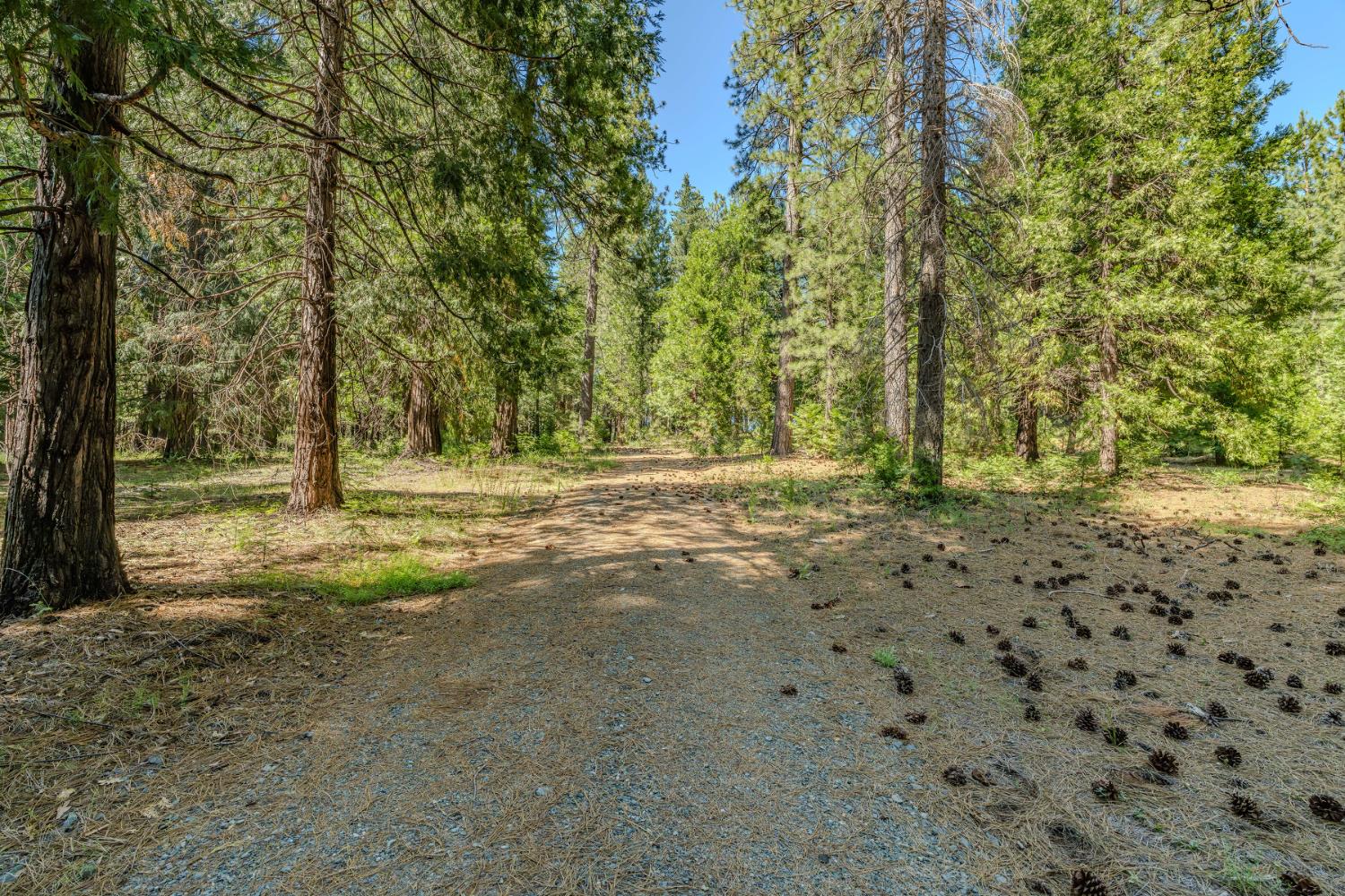 28087 Rolling Hills Road Pioneer, CA 95666 - Photo 29 of 49