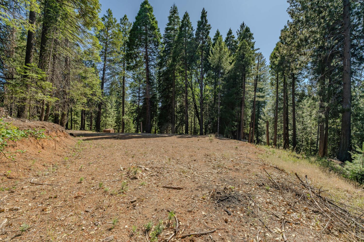 28087 Rolling Hills Road Pioneer, CA 95666 - Photo 30 of 49