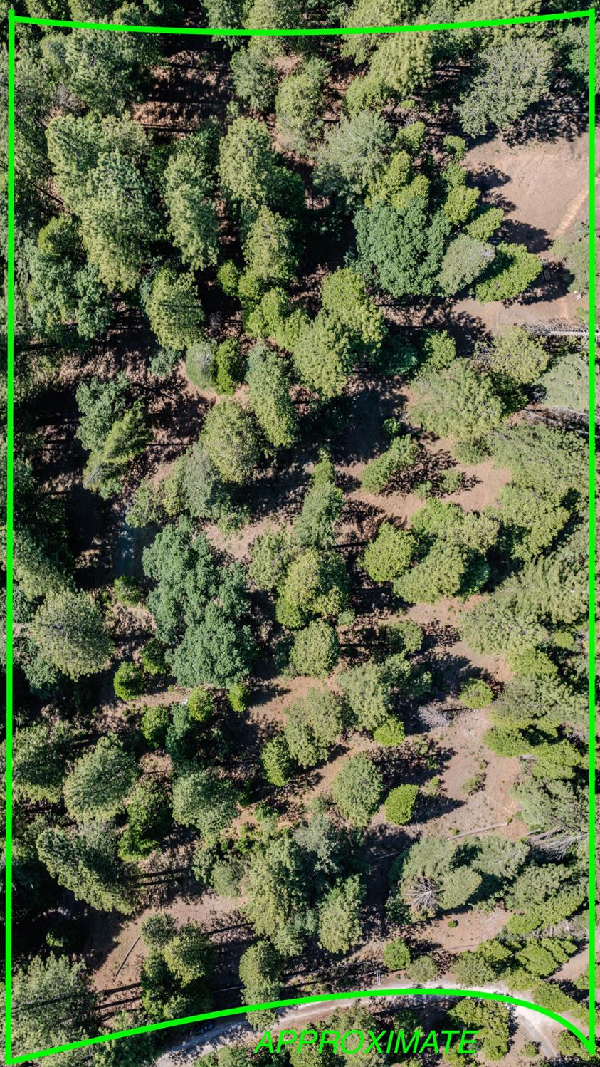 28087 Rolling Hills Road Pioneer, CA 95666 - Photo 31 of 49