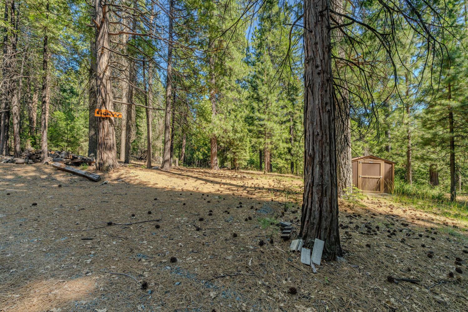 28087 Rolling Hills Road Pioneer, CA 95666 - Photo 33 of 49