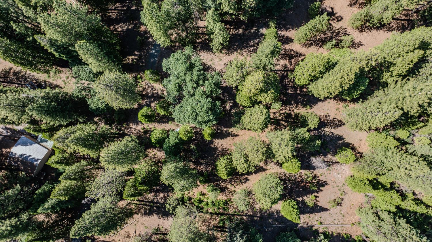 28087 Rolling Hills Road Pioneer, CA 95666 - Photo 34 of 49