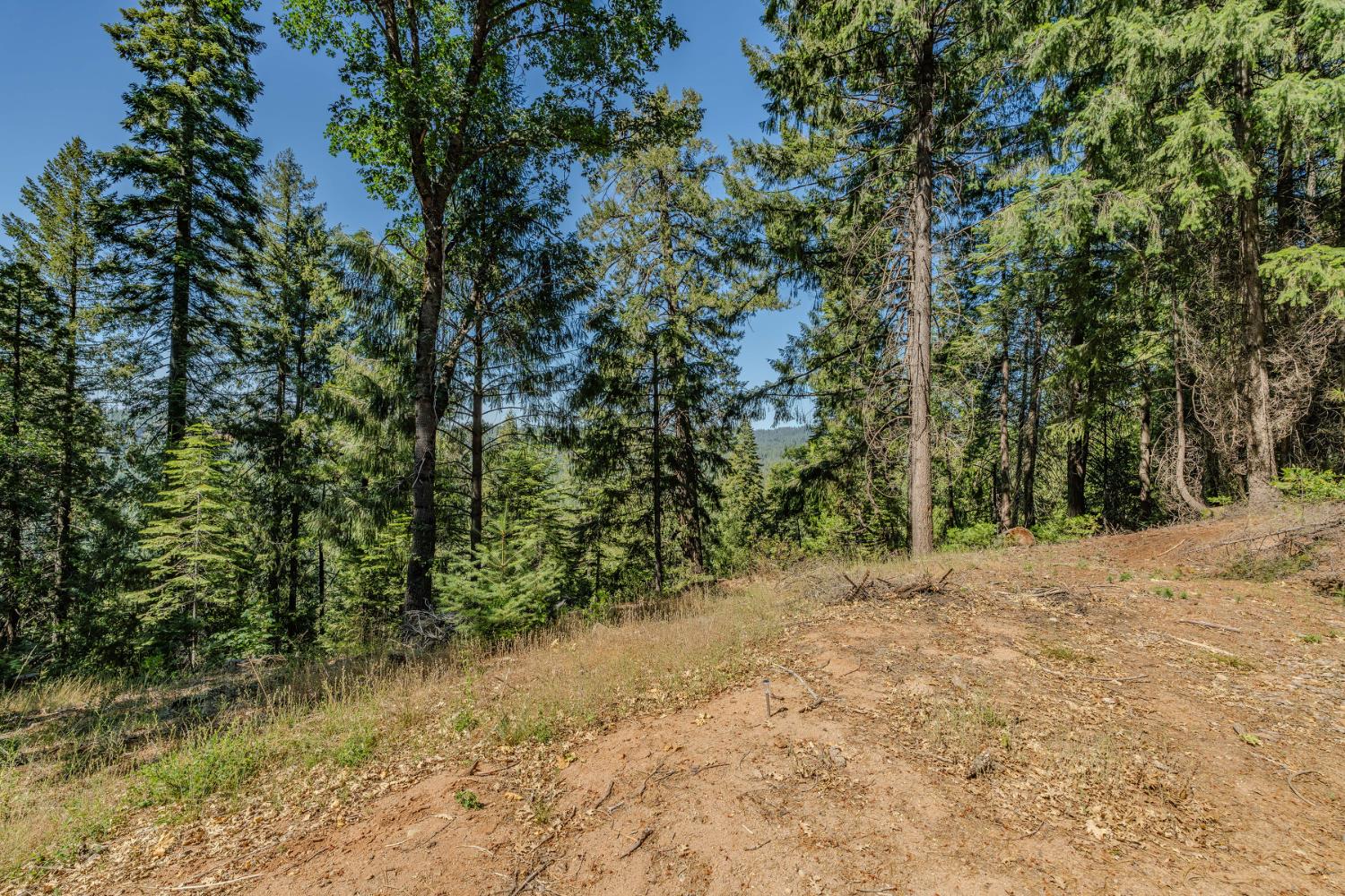 28087 Rolling Hills Road Pioneer, CA 95666 - Photo 36 of 49