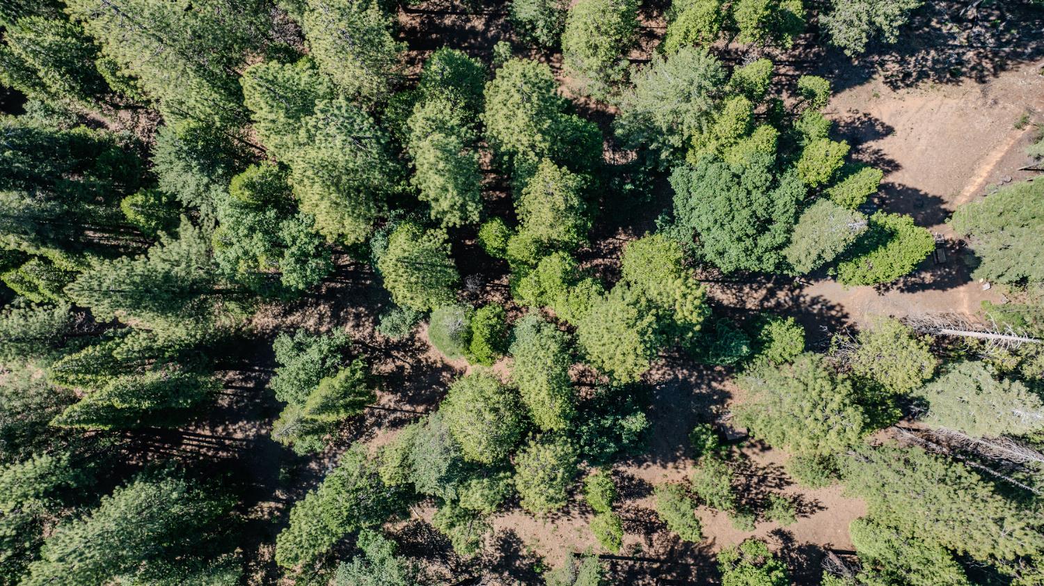 28087 Rolling Hills Road Pioneer, CA 95666 - Photo 37 of 49