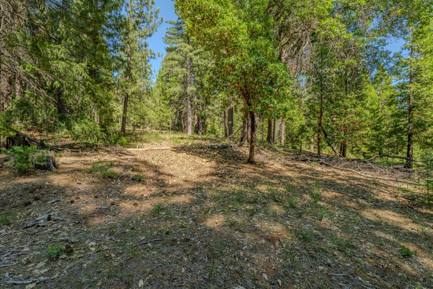 28087 Rolling Hills Road Pioneer, CA 95666 - Photo 38 of 49