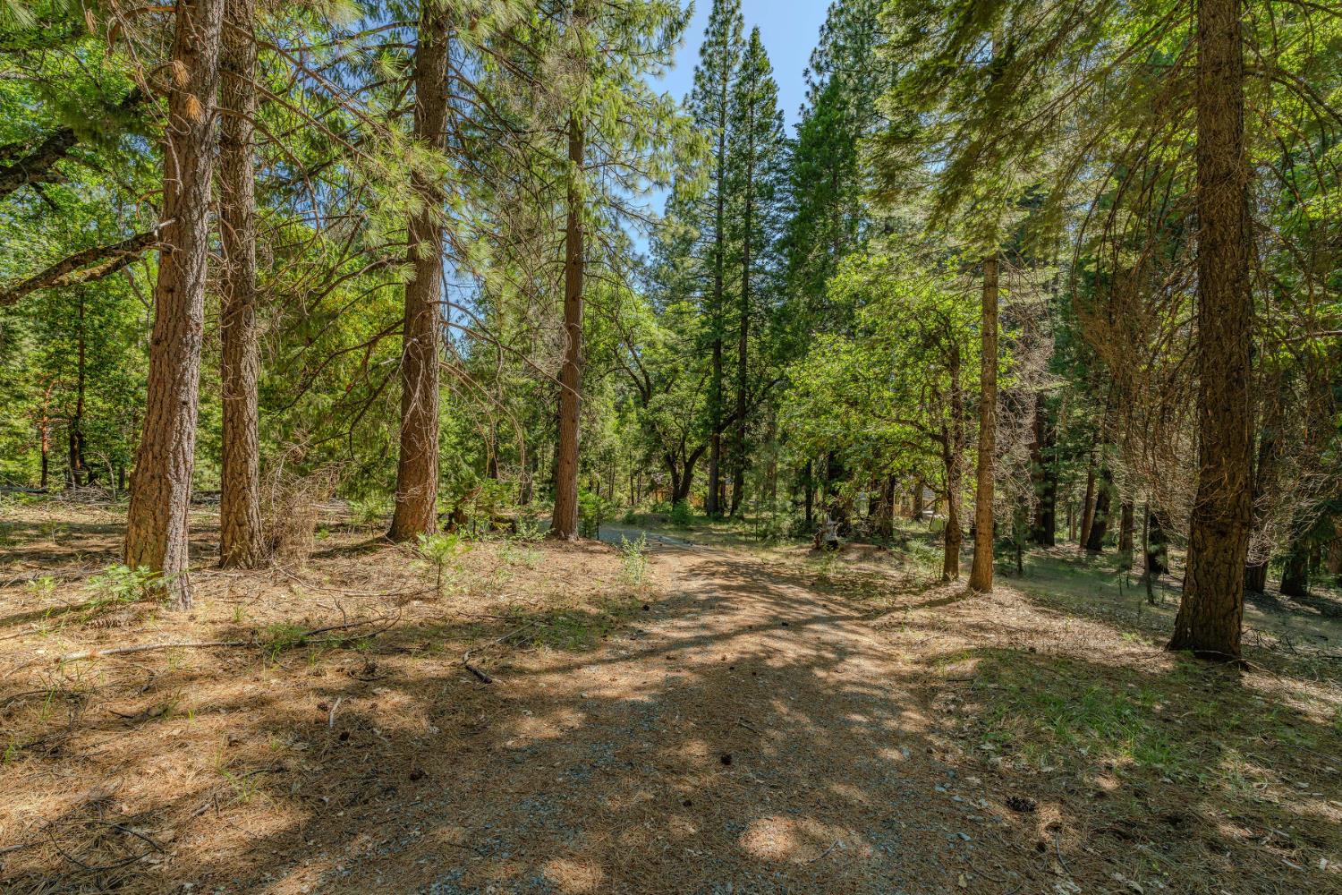 28087 Rolling Hills Road Pioneer, CA 95666 - Photo 40 of 49