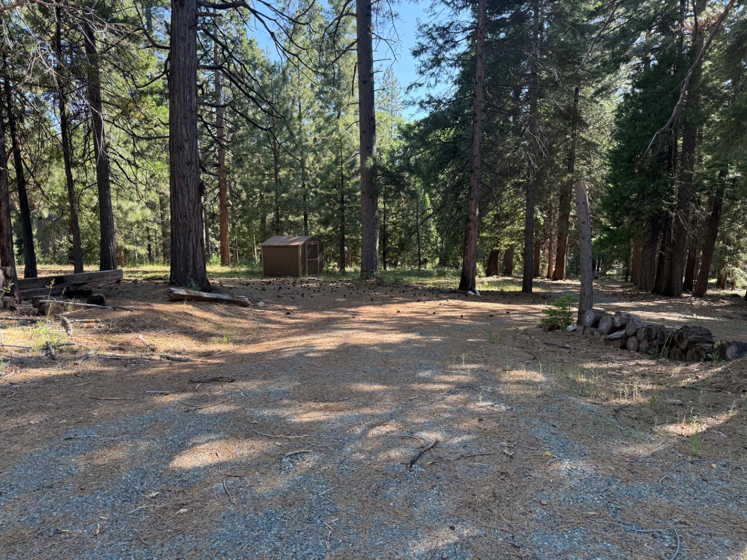 28087 Rolling Hills Road Pioneer, CA 95666 - Photo 4 of 49