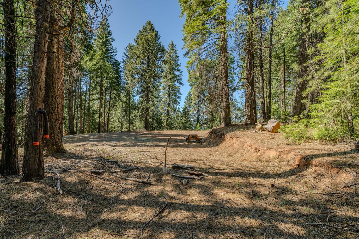 28087 Rolling Hills Road Pioneer, CA 95666 - Photo 41 of 49