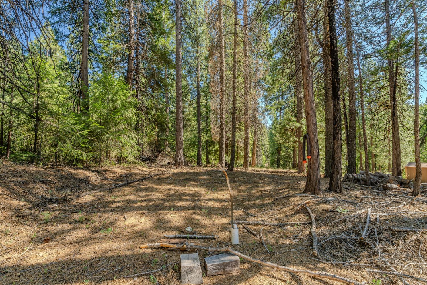 28087 Rolling Hills Road Pioneer, CA 95666 - Photo 43 of 49