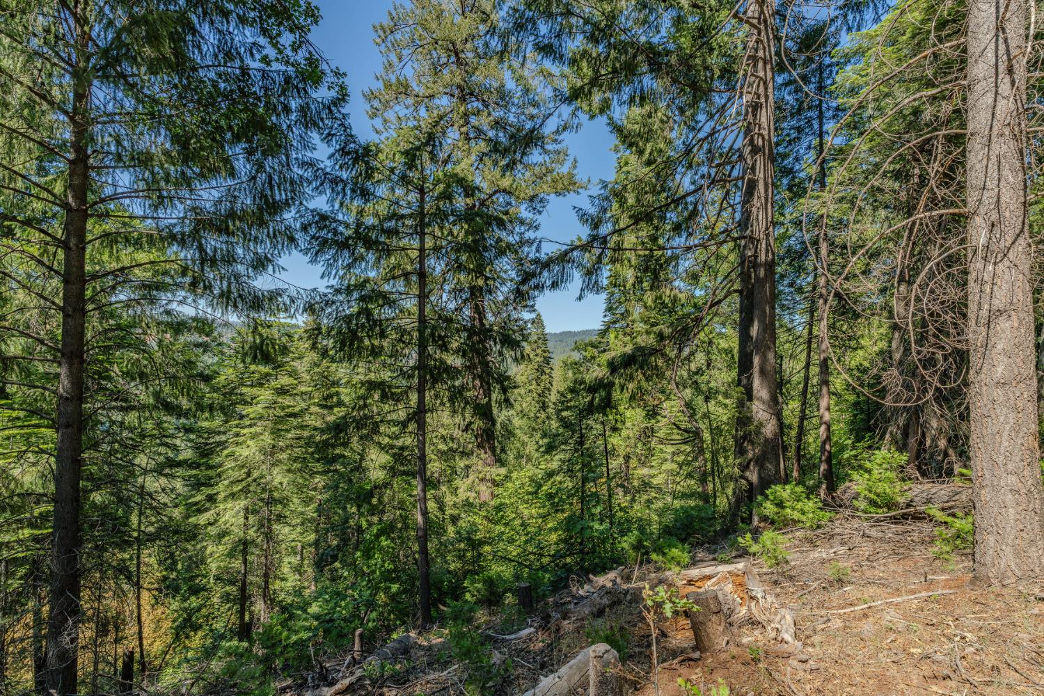 28087 Rolling Hills Road Pioneer, CA 95666 - Photo 44 of 49