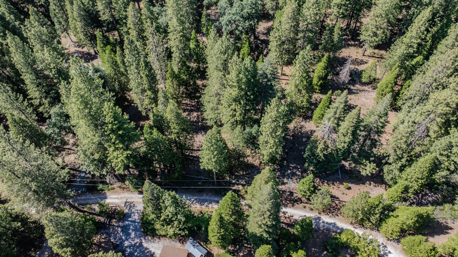 28087 Rolling Hills Road Pioneer, CA 95666 - Photo 46 of 49