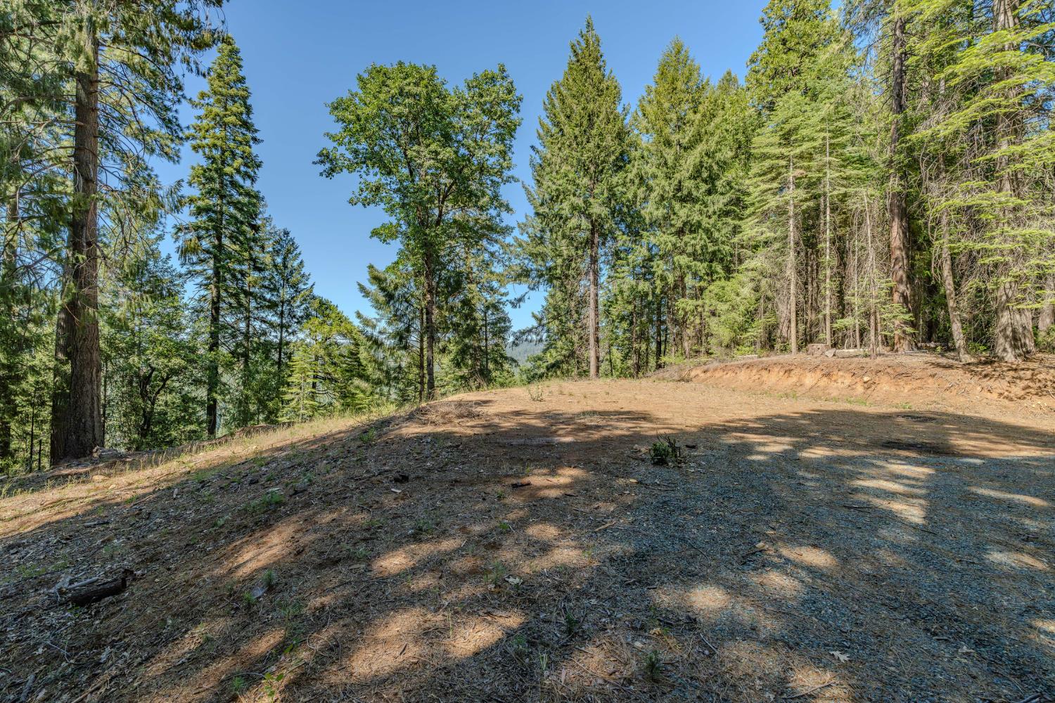 28087 Rolling Hills Road Pioneer, CA 95666 - Photo 47 of 49