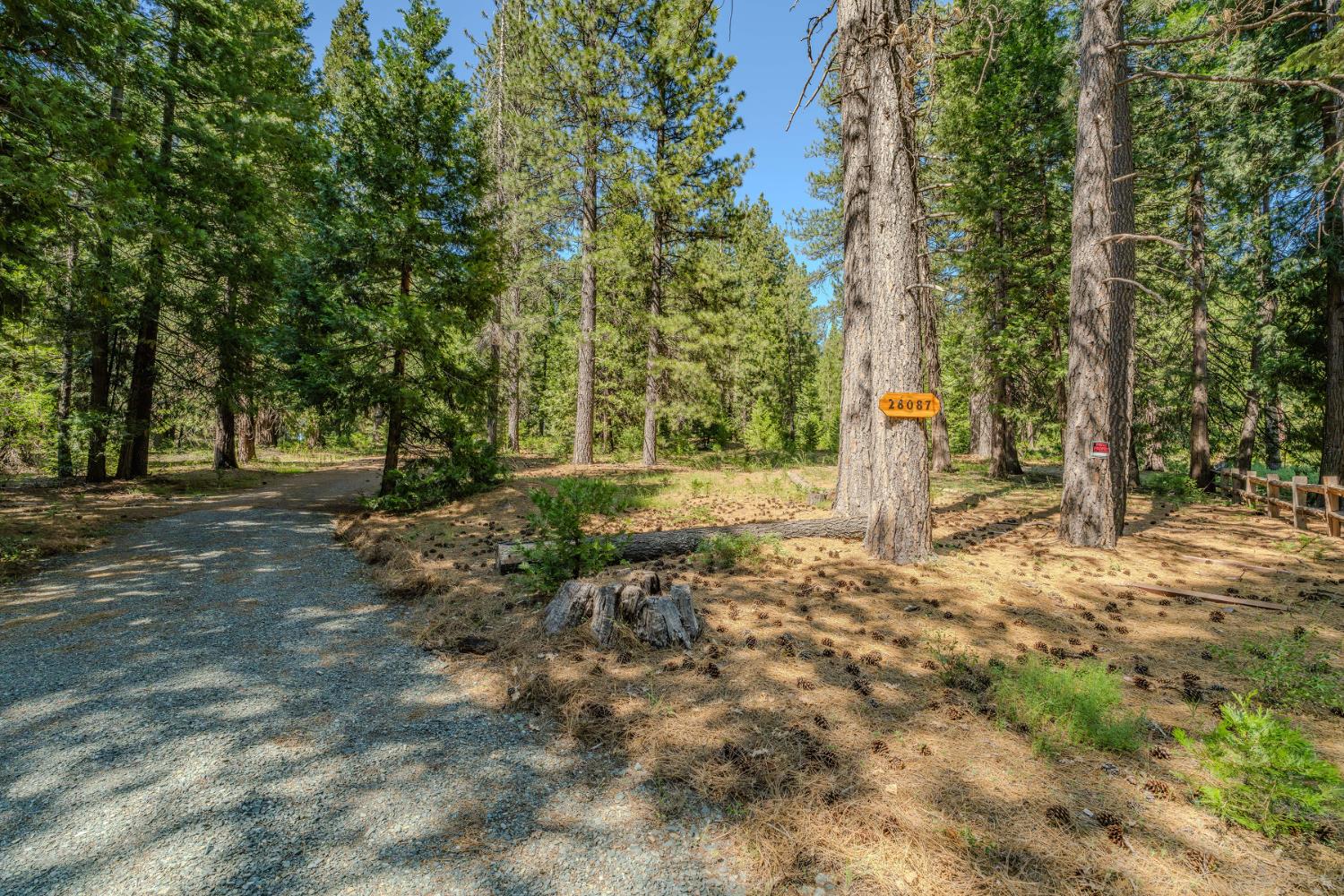 28087 Rolling Hills Road Pioneer, CA 95666 - Photo 48 of 49