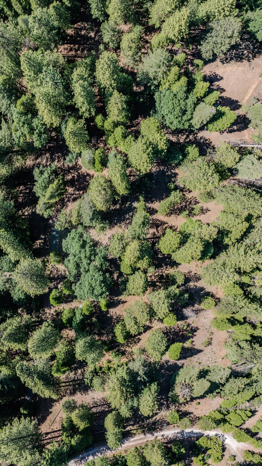 28087 Rolling Hills Road Pioneer, CA 95666 - Photo 49 of 49