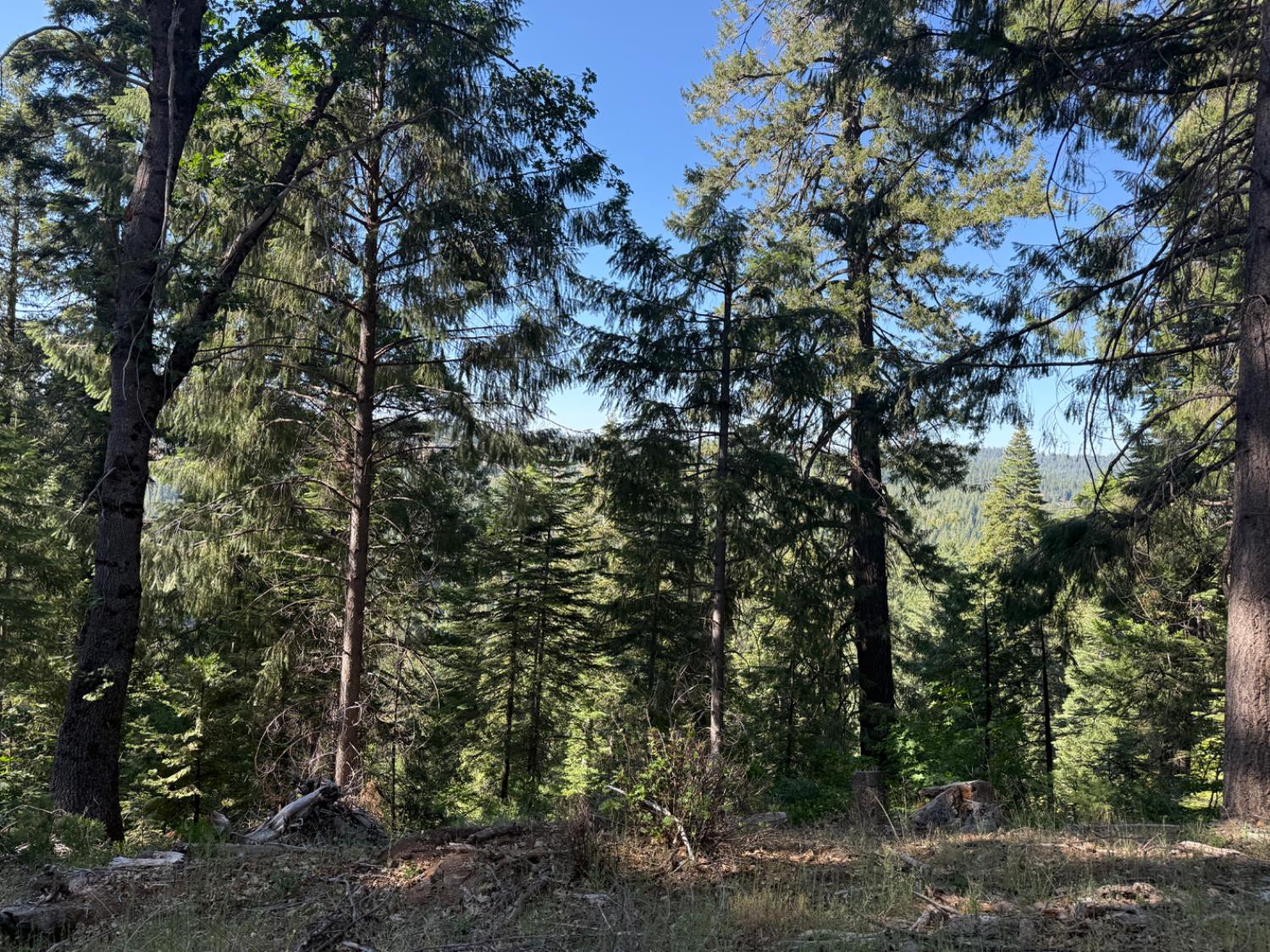 28087 Rolling Hills Road Pioneer, CA 95666 - Photo 5 of 49