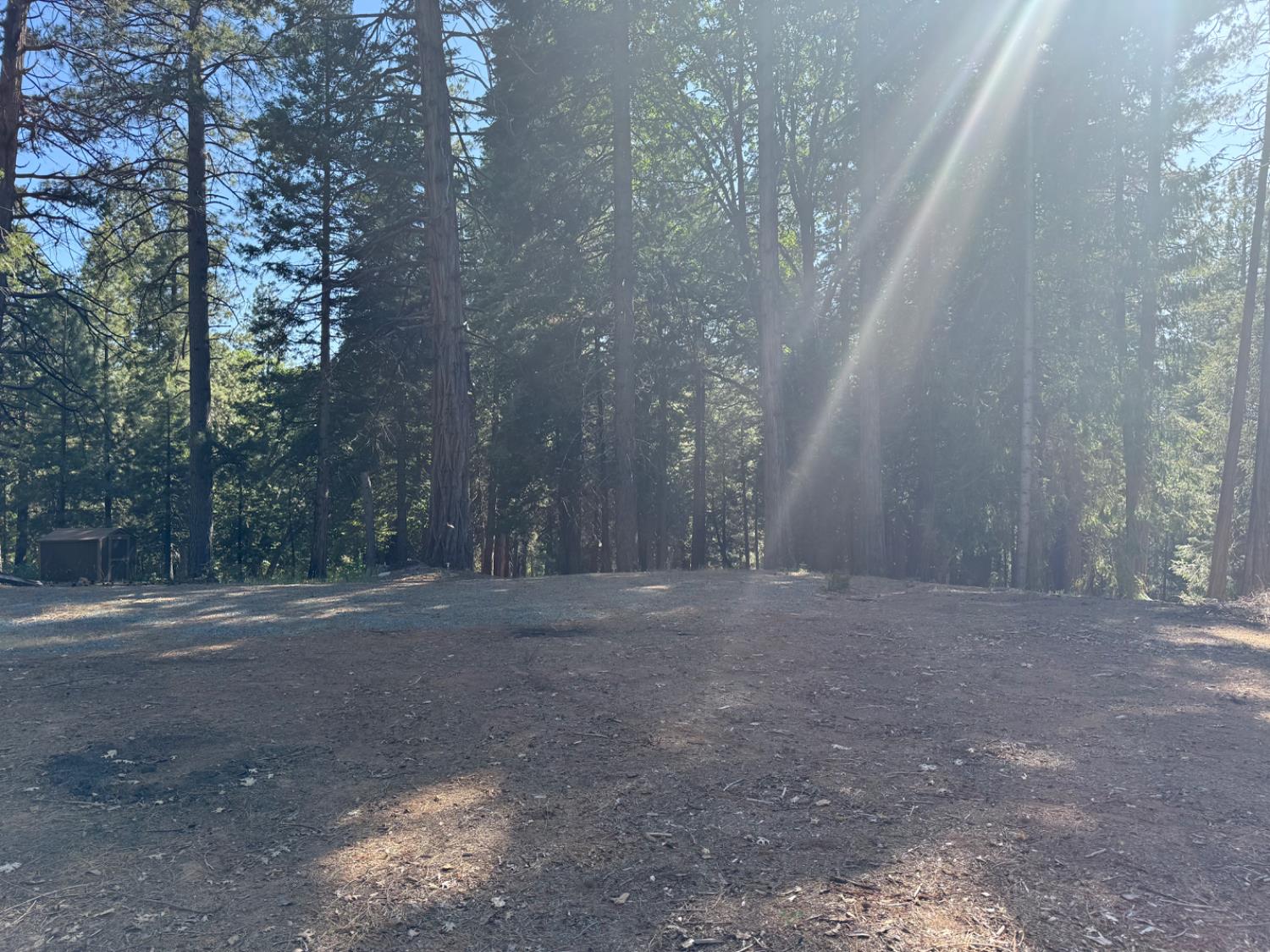 28087 Rolling Hills Road Pioneer, CA 95666 - Photo 6 of 49