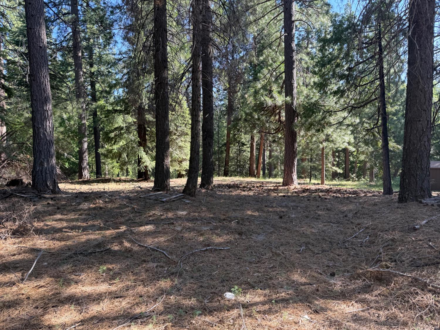 28087 Rolling Hills Road Pioneer, CA 95666 - Photo 7 of 49