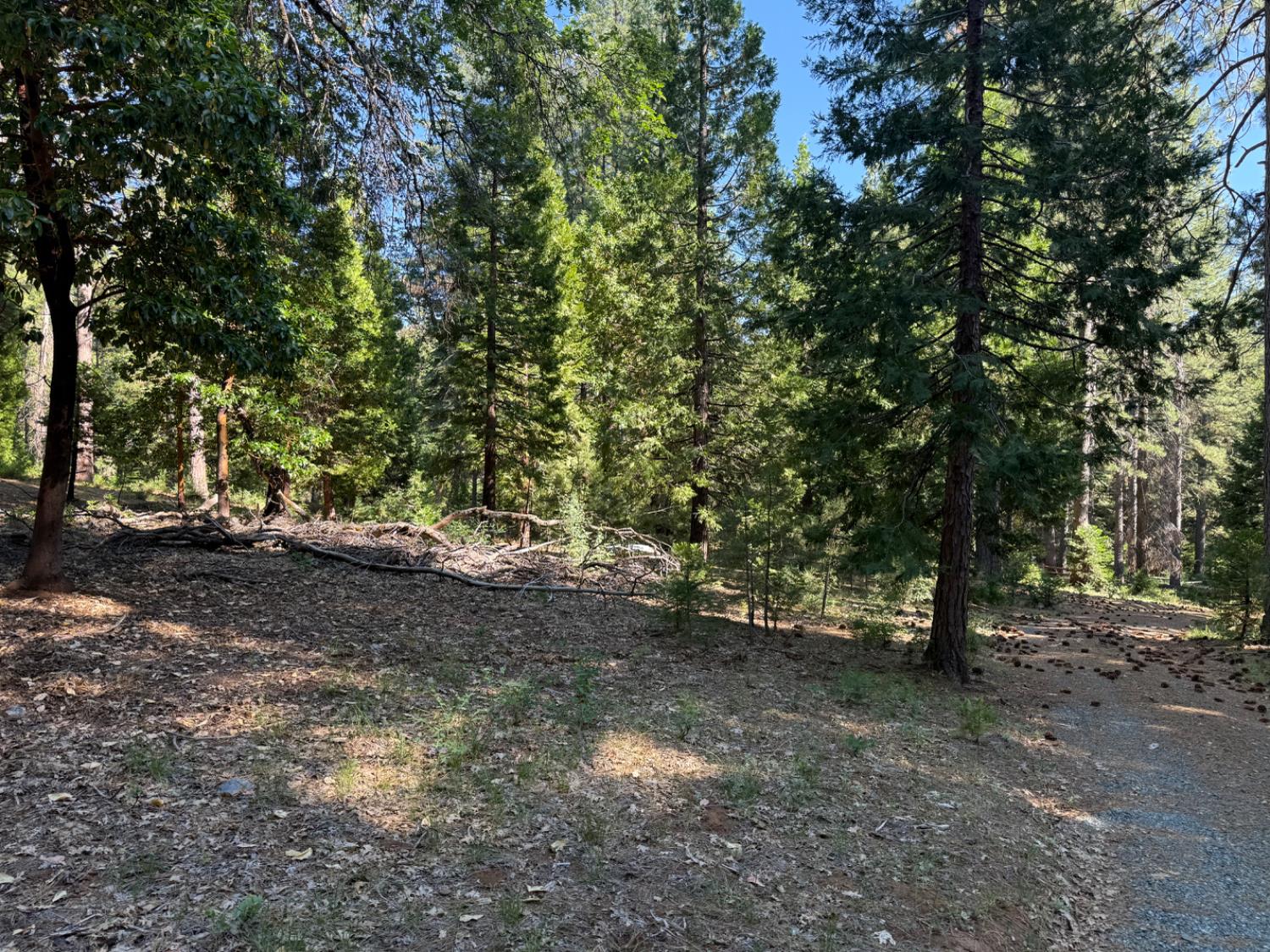 28087 Rolling Hills Road Pioneer, CA 95666 - Photo 9 of 49