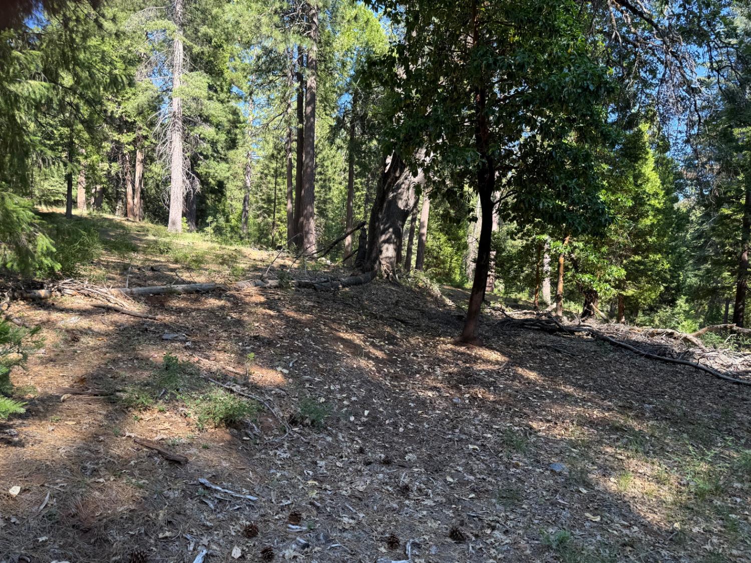 28087 Rolling Hills Road Pioneer, CA 95666 - Photo 10 of 49