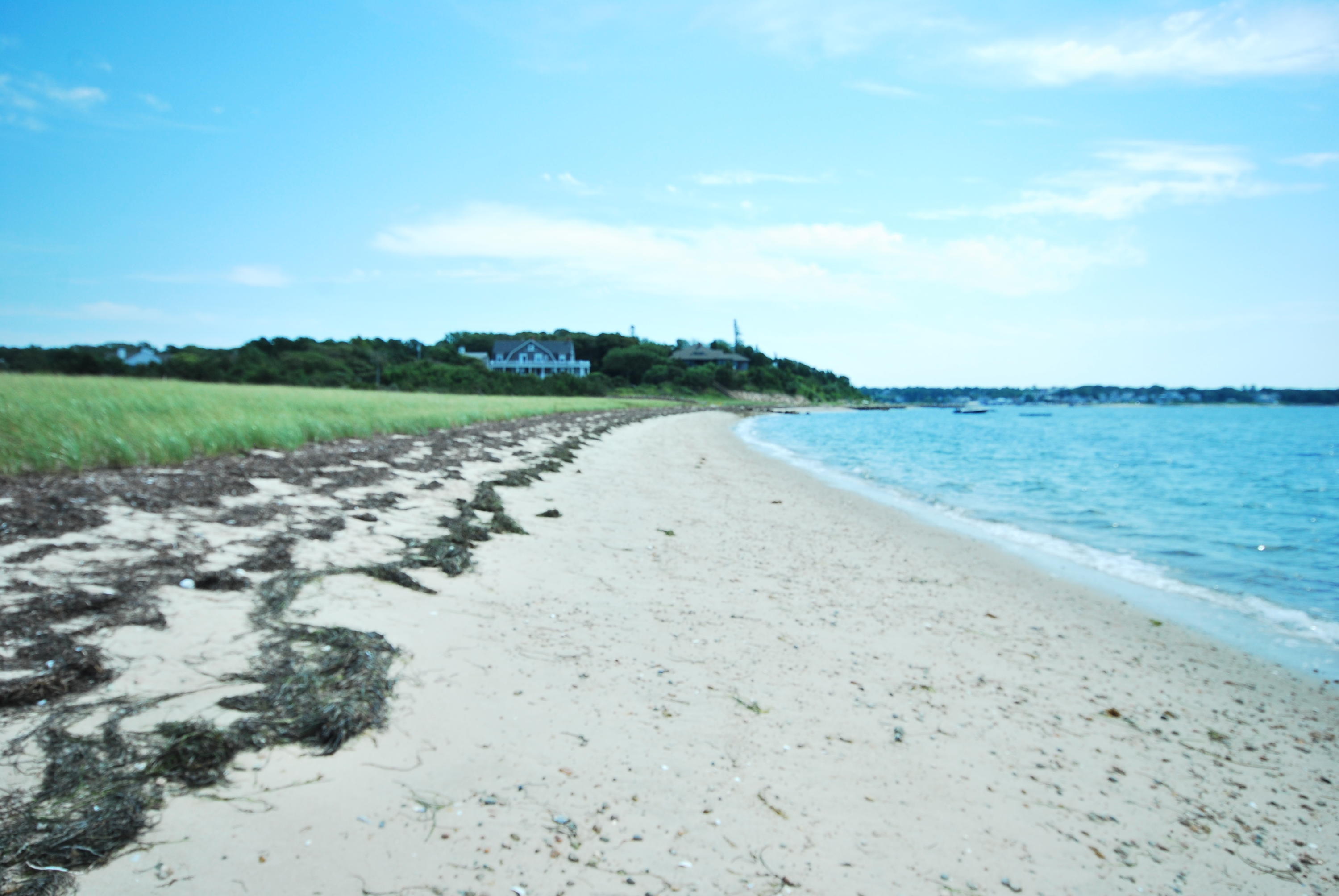 431 Scraggy Neck Road Cataumet, MA 02534 - Photo 53 of 57 DSC_0717