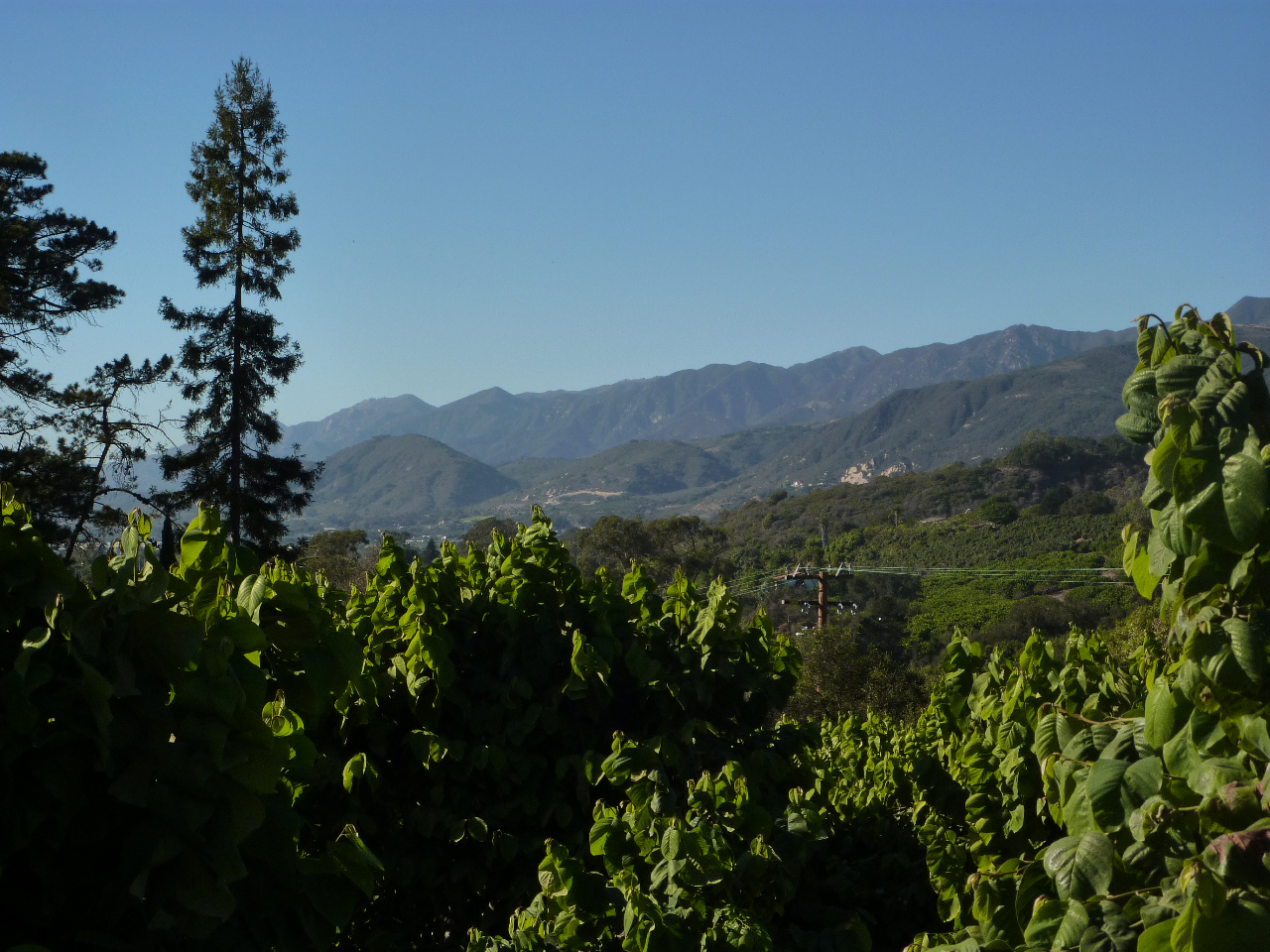 6915 Shepard Mesa Road Carpinteria, CA 93013 - Photo 1 of 10 Panoramic Mountain Views!