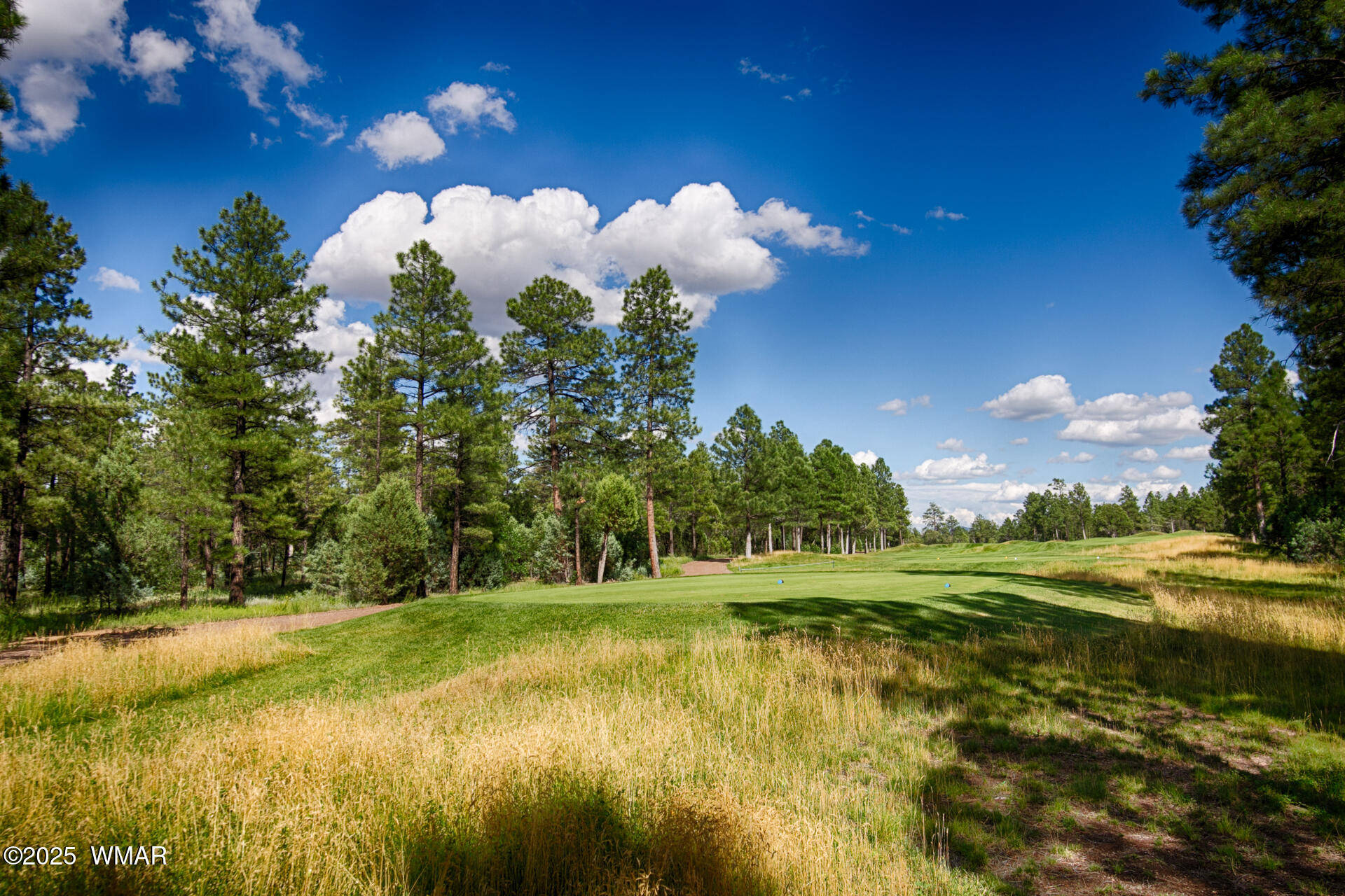 381 South Falling Leaf Road Show Low, AZ 85901 - Photo 47 of 51 paxmanphotography1-
