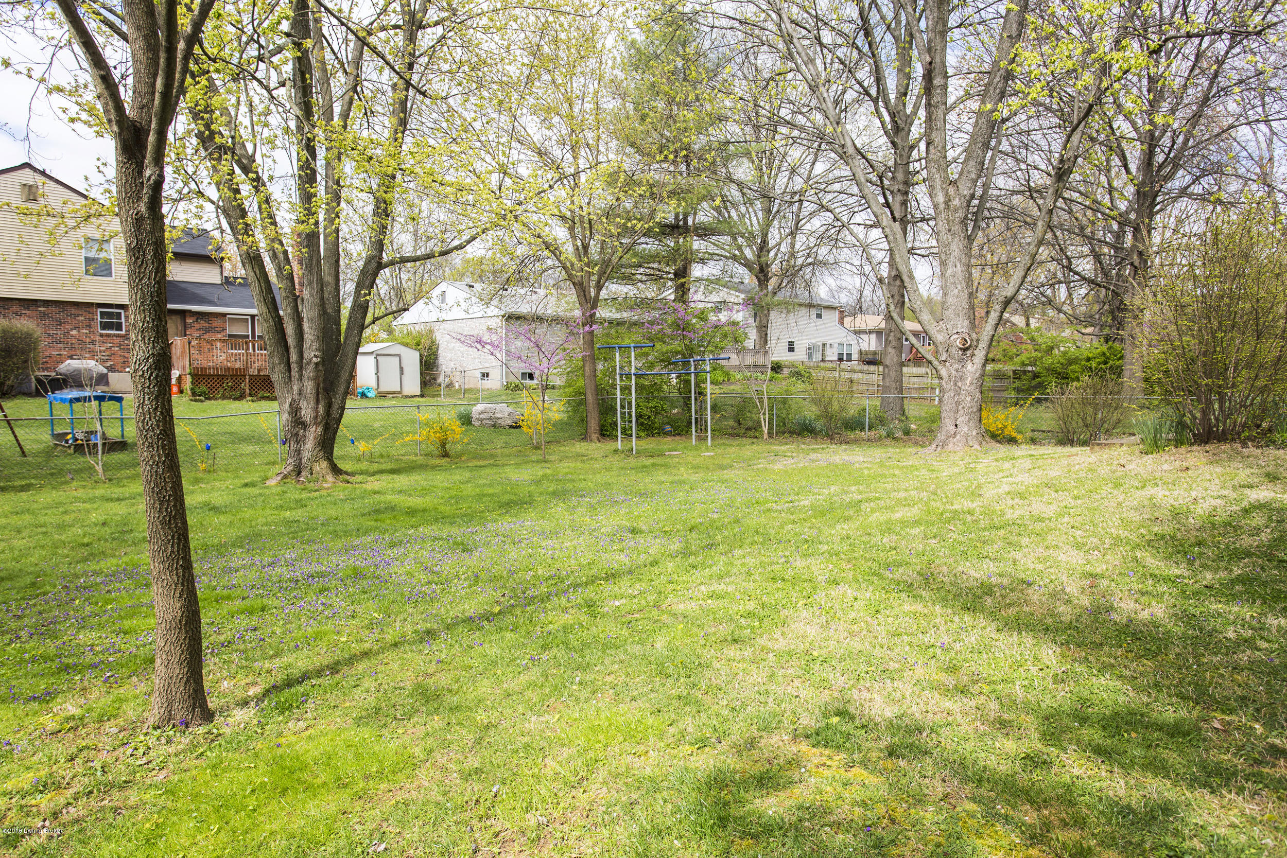 306 Alcott Road Louisville, KY 40207 - Photo 40 of 40 42-rear yard
