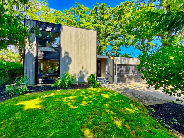 a view of backyard with potted plants and a large tree