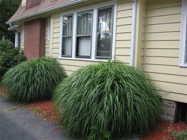 15-17 Rittenhouse Terrace Springfield, MA 01108 - Photo 2 of 23