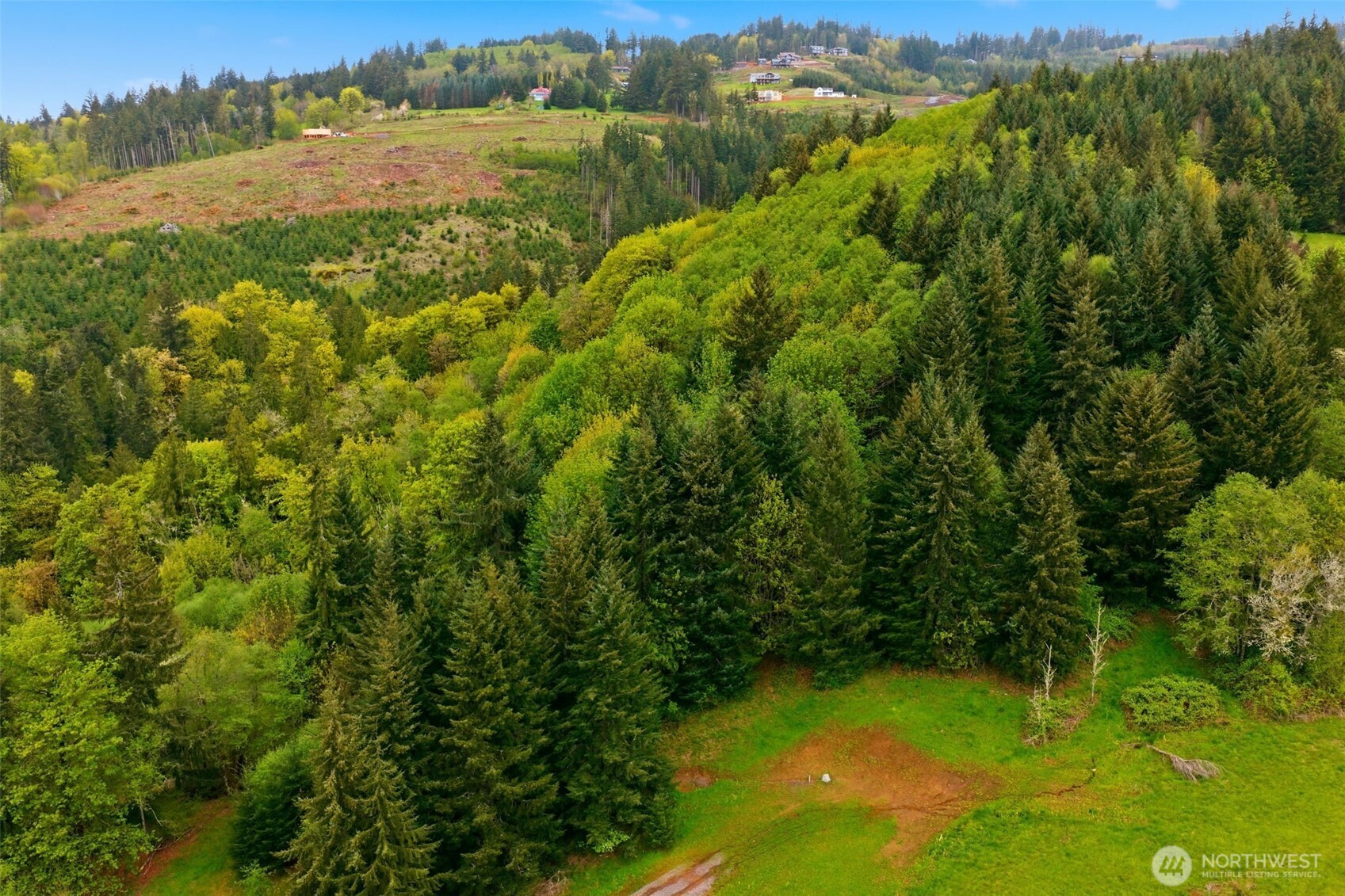 0 Green Mountain Road Kalama, WA 98625 - Photo 3 of 7