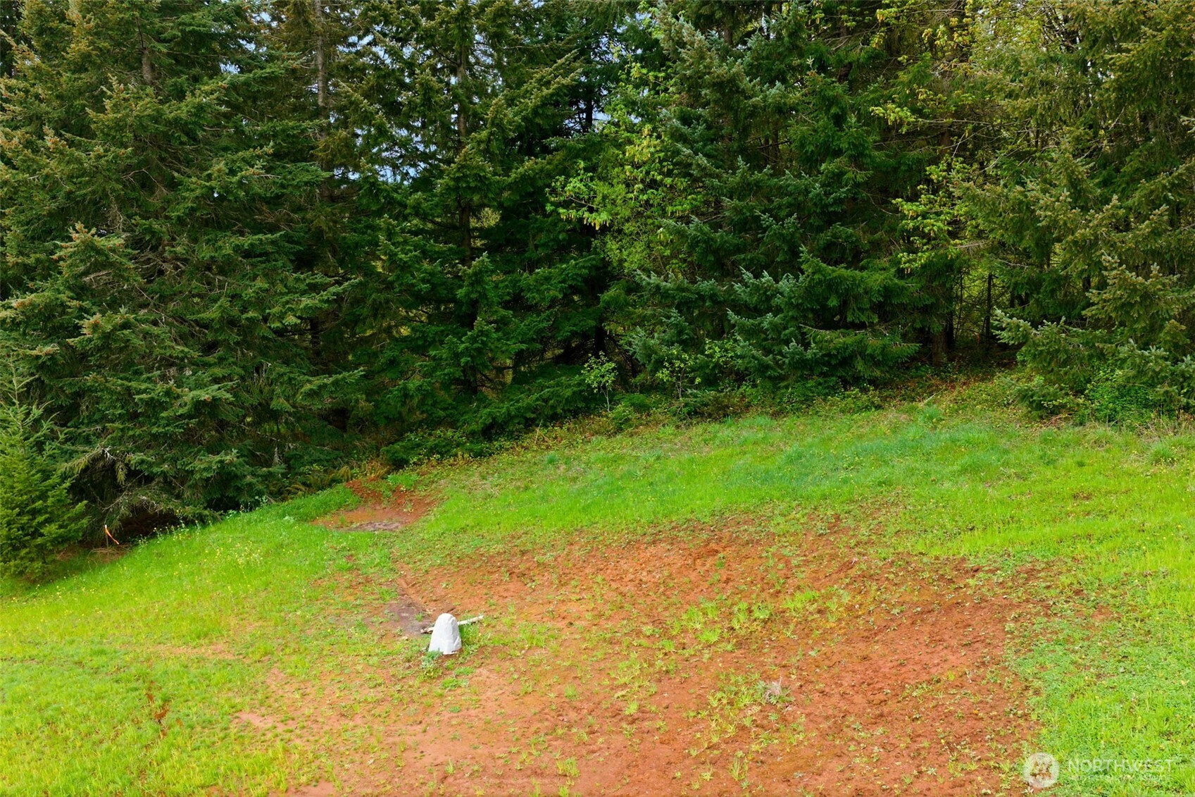 0 Green Mountain Road Kalama, WA 98625 - Photo 7 of 7