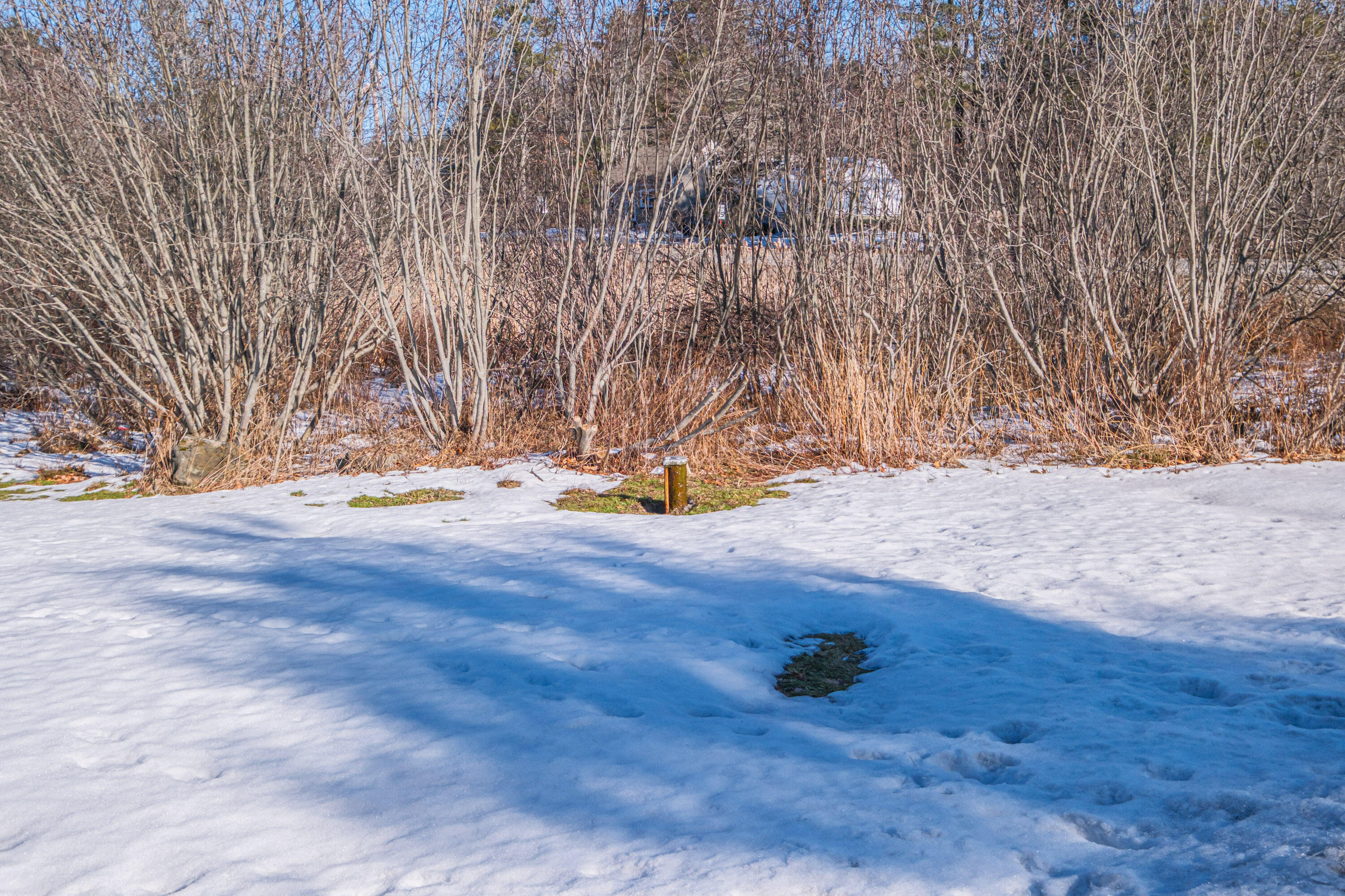 5 Cardinal Lane Windham, ME 04062 - Photo 2 of 58 20260116gp-60002