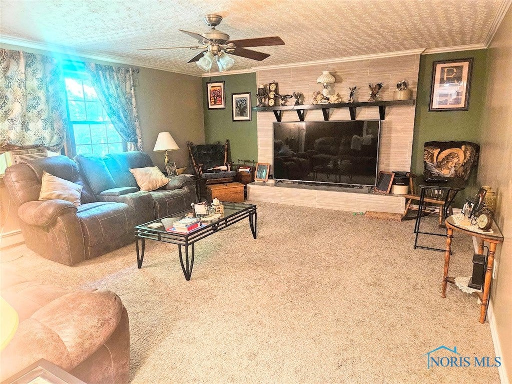 10663 Rosebrook Road Defiance, OH 43512 - Photo 11 of 48 Family Room Fireplace