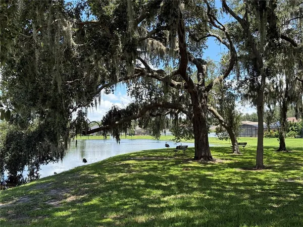 a big yard with trees