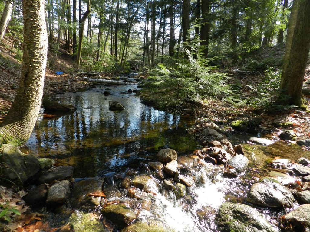 122 Lower Pratt Pond Road New Ipswich, NH 03071 - Photo 14 of 33 Gallery Image 14