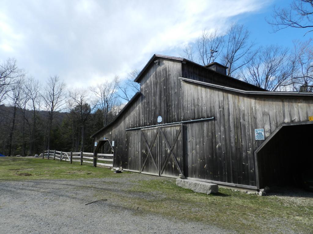Gallery Image 7