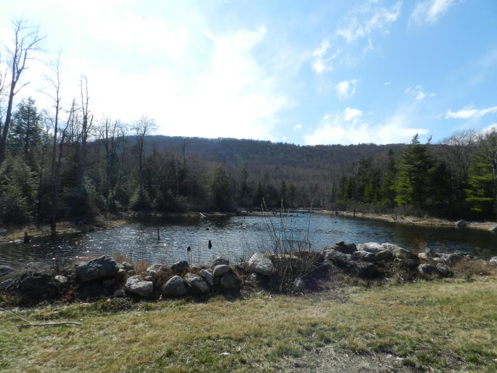 122 Lower Pratt Pond Road New Ipswich, NH 03071 - Photo 10 of 33 Gallery Image 10