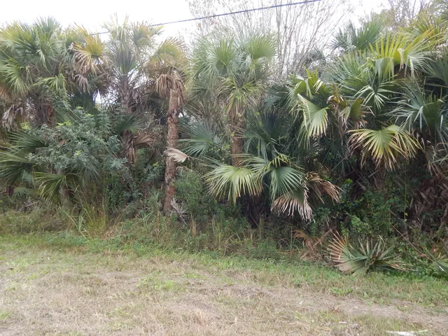 $49,000 | 581 Avenida Del Sur, Clewiston, FL 33440