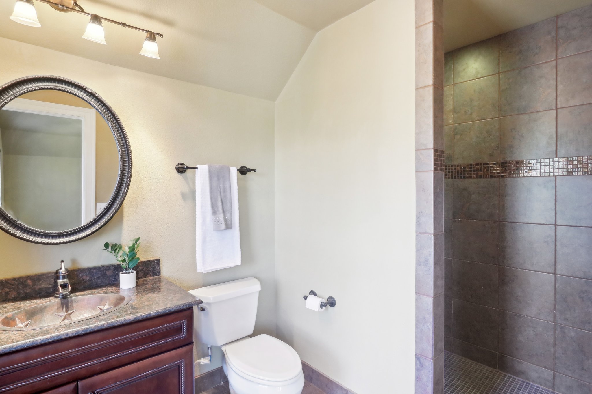 294 Logan Ranch Road Georgetown, TX 78628 - Photo 39 of 40 a bathroom with a granite countertop toilet a sink and a mirror