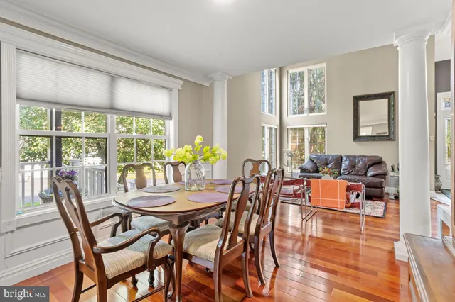 a view of a dining room with furniture a potted plant and wooden floor