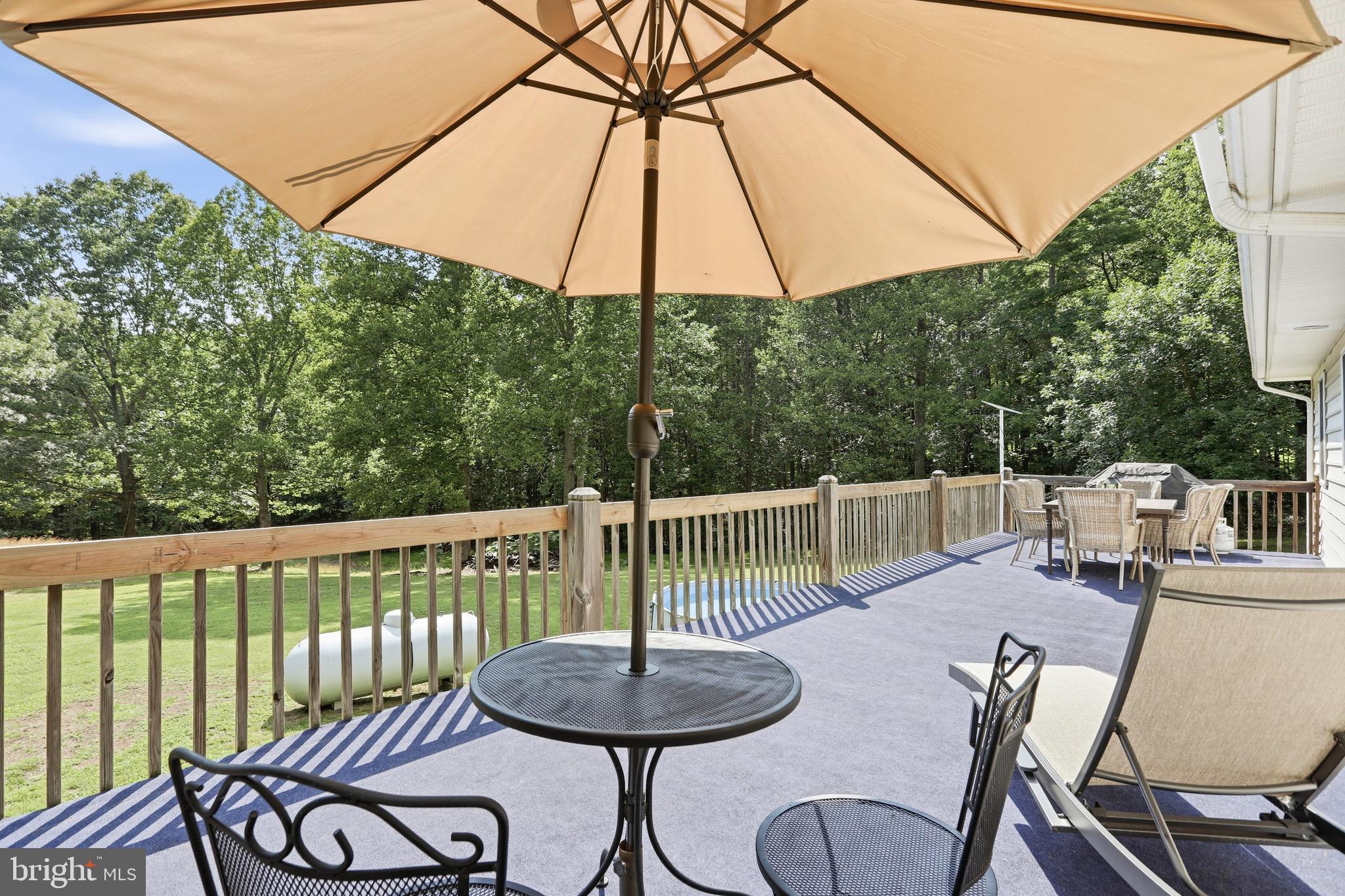 78 Lizzie Mills Road Castleton, VA 22716 - Photo 33 of 53 Rear deck
