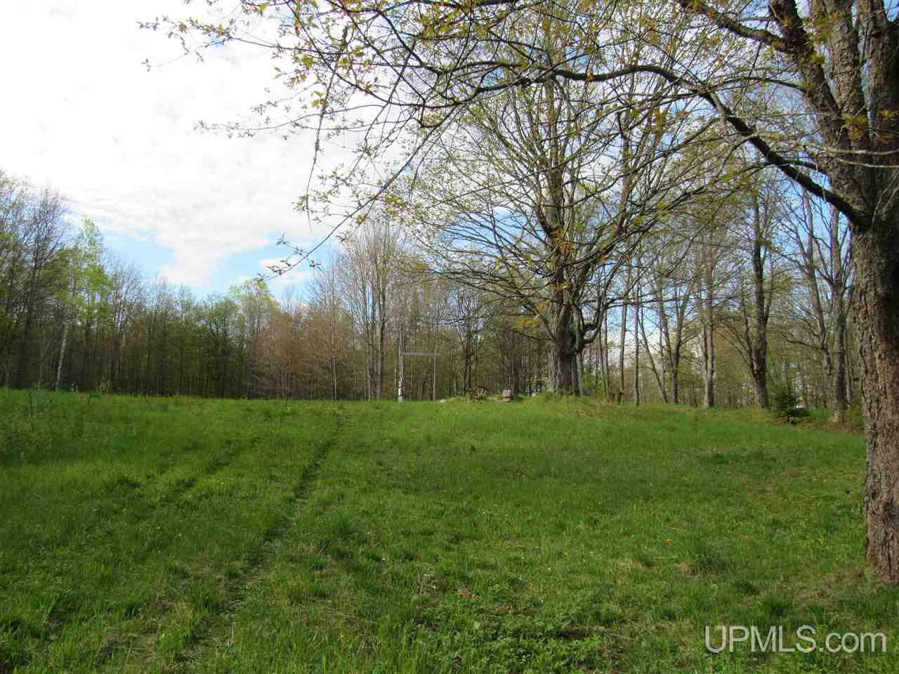 22431 Peterson Road Nisula, MI 49952 - Photo 6 of 24 Gallery Image 6