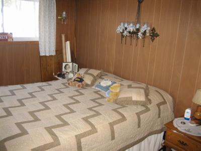 10906 Delihant Road Three Rivers, MI 49093 - Photo 11 of 17 Additional Photo