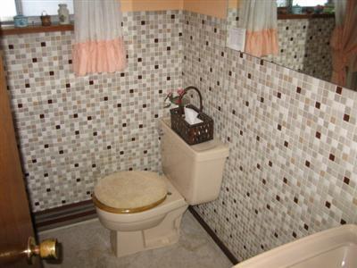 10906 Delihant Road Three Rivers, MI 49093 - Photo 9 of 17 Additional Photo