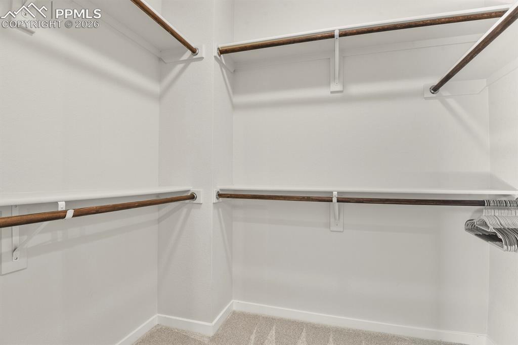 11314 Modern Meadow Loop Colorado Springs, CO 80921 - Photo 20 of 30 a view of a walk in closet
